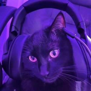 Meet your Posher, Mason